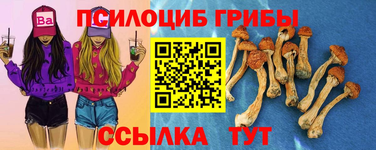 Галлюциногенные грибы мухоморы Москва