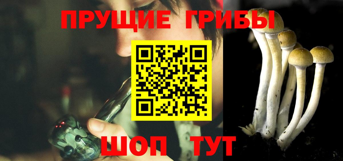 Москва  продажа наркотиков  Вход с VPN  Псилоцибиновые грибы GOLDEN TEACHER 